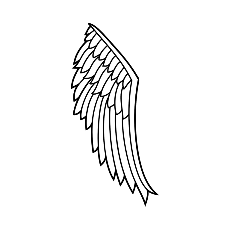 Angel wing symbol