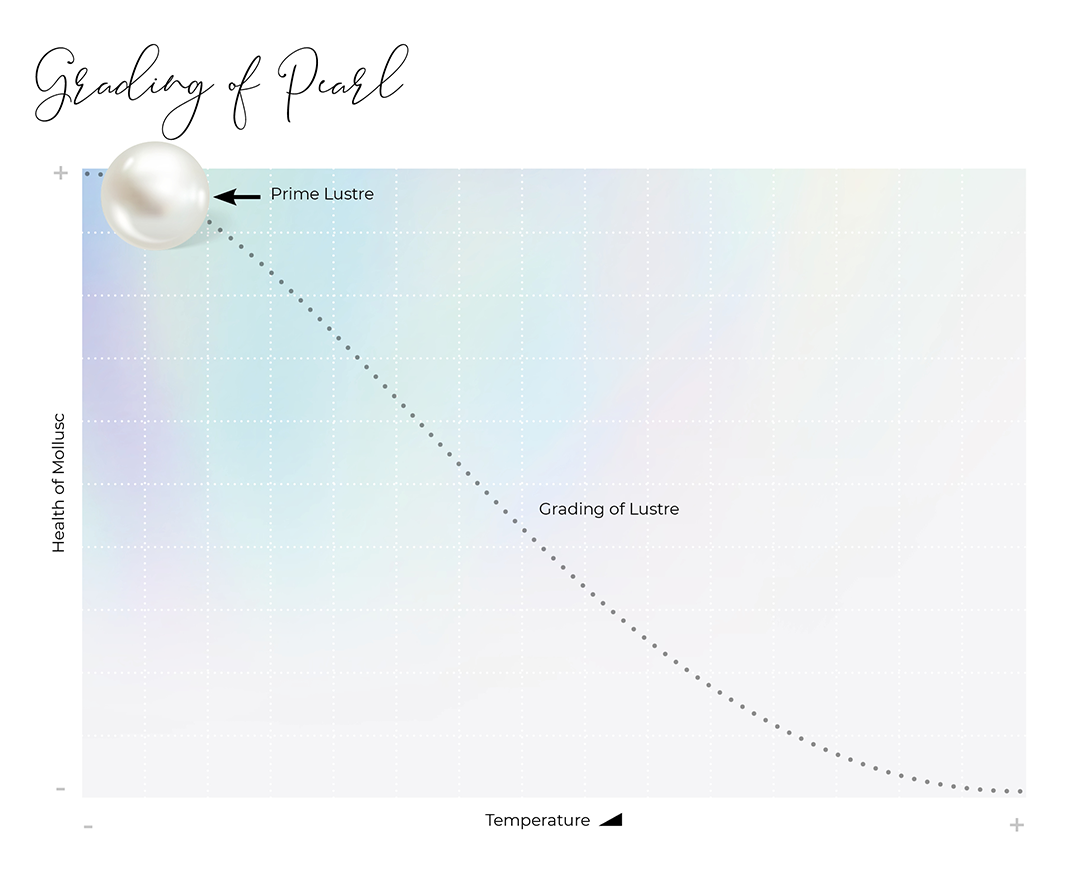 A Chart Showcasing How a Pearl Gets the Ultimate Lustre