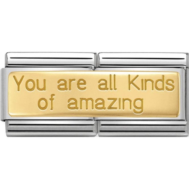 nomination classic gold you are all kinds of amazing double charm p11942 29238 medium