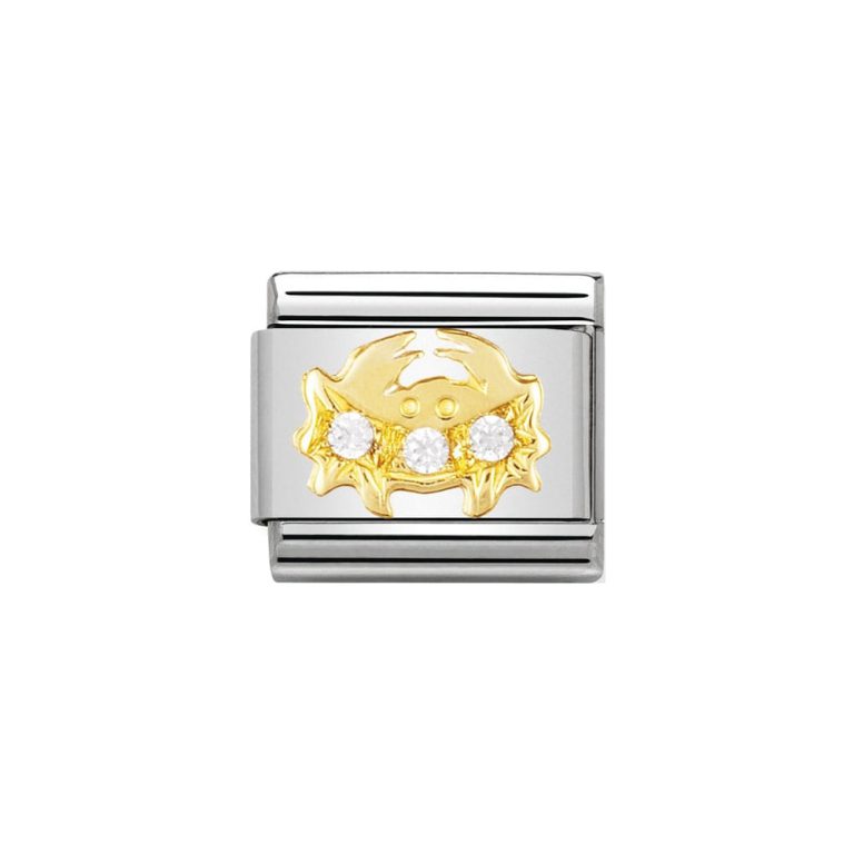 nomination classic cancer cubic zirconia charm p3255 23629 image